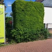 PLANEN-MÜLLER GmbH; Firma